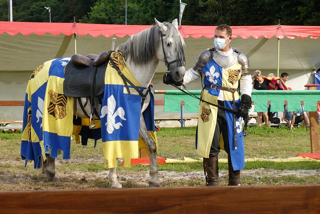 的一些决策 的一些决策