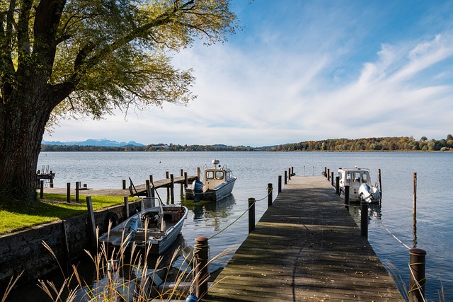 一场双赢的 一场双赢的