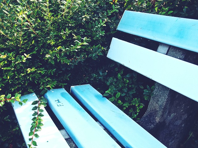 骄傲的资本 骄傲的资本